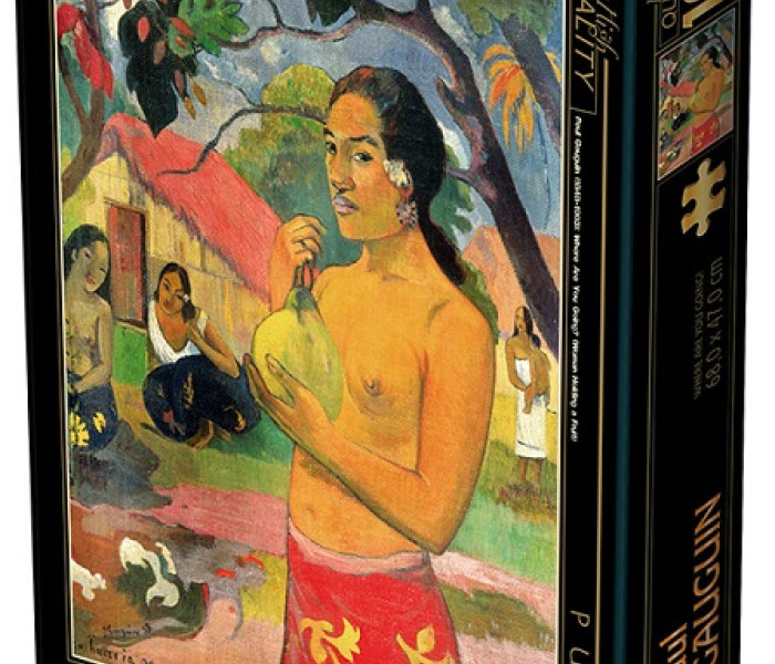 Puzzle - D-toys - Unde mergi?