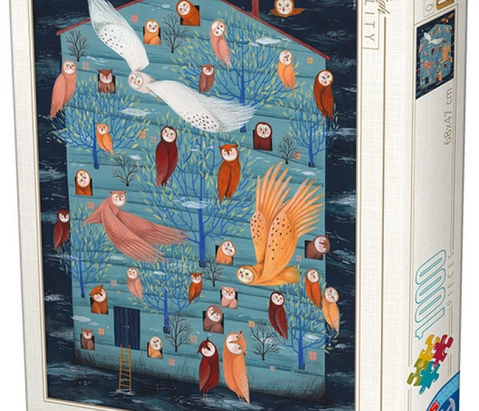 Puzzle - D-toys - Raiul bufnițelor