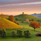 Puzzle - Dino - Răsărit de poveste