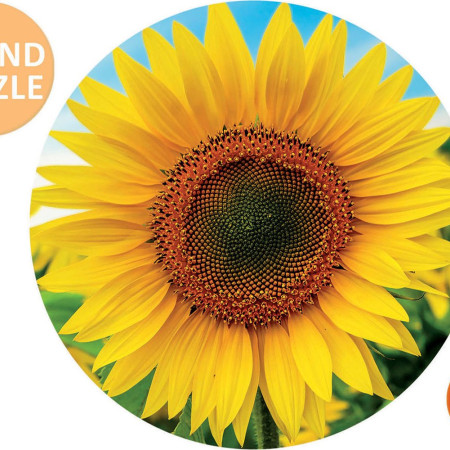 Floarea-soarelui - Puzzle rotund