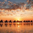 Puzzle - Educa - Apus auriu, Australia