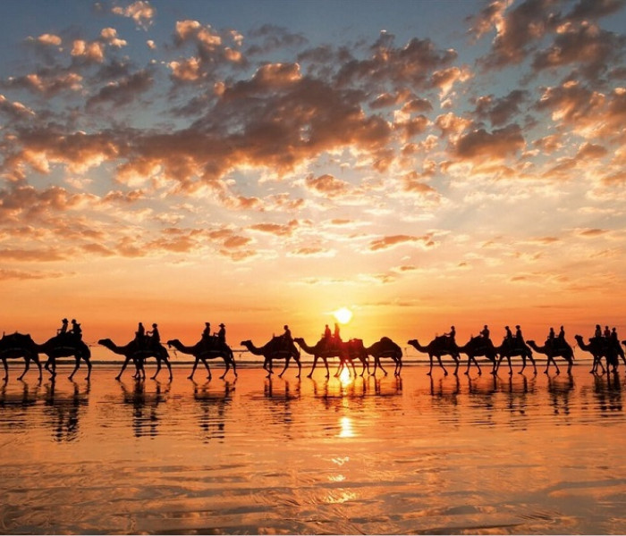 Puzzle - Educa - Apus auriu, Australia