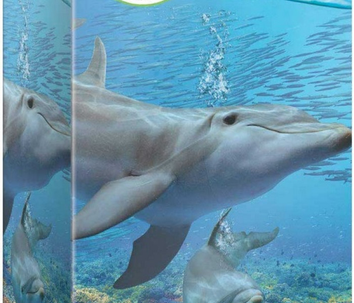 Puzzle - Eurographics - Delfini