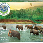 Puzzle - Eurographics - Elefanți în râu