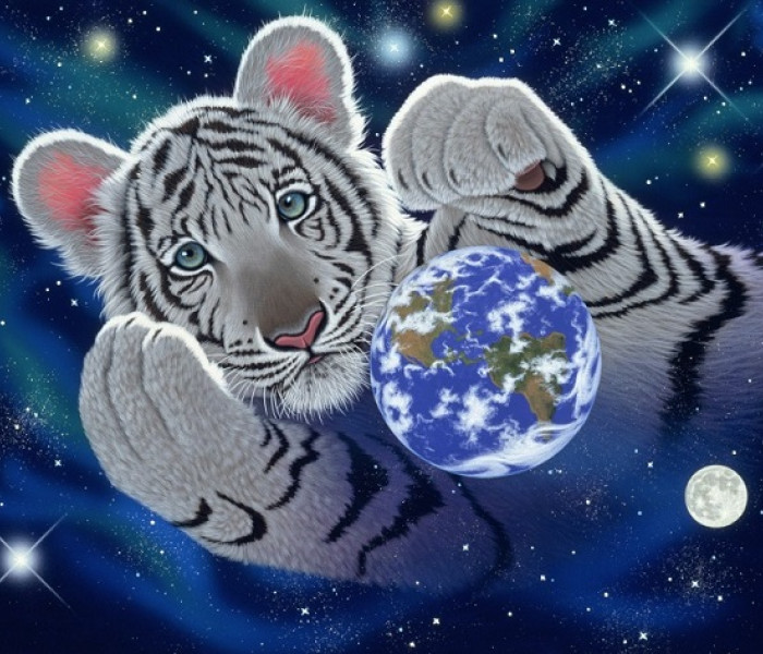 Puzzle - Grafika - Îmbrățișarea globului