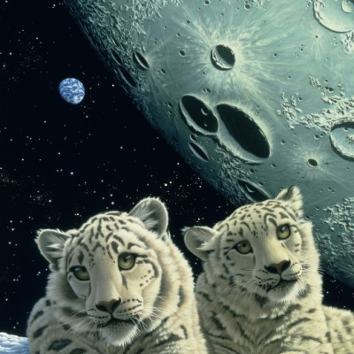 Leoparzi de zăpadă