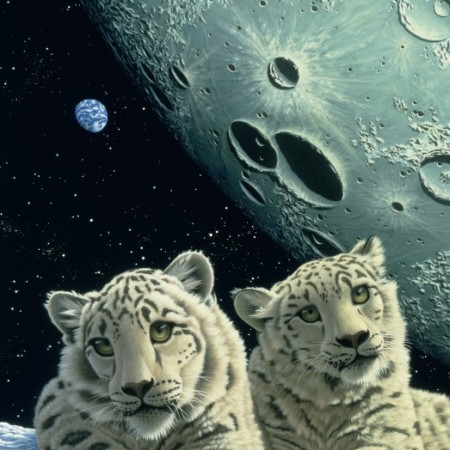 Leoparzi de zăpadă