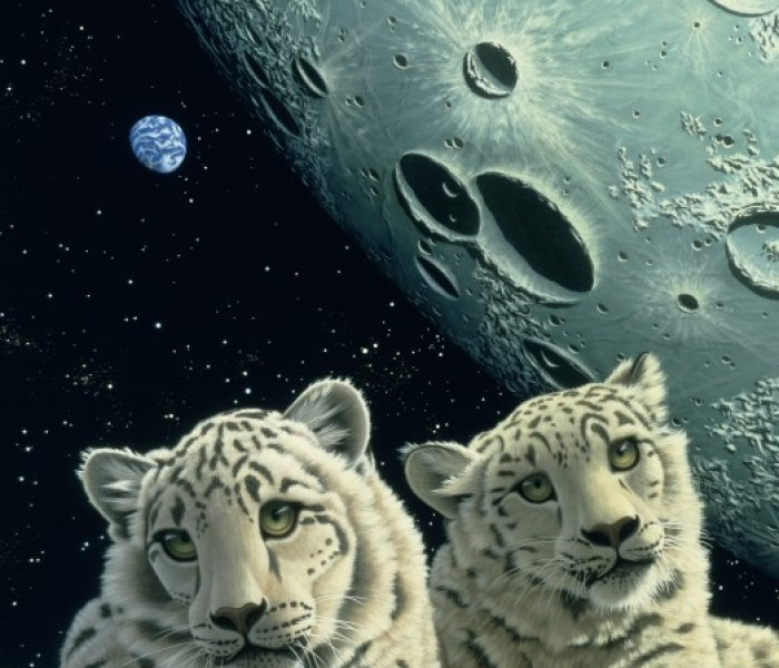 Puzzle - Grafika - Leoparzi de zăpadă