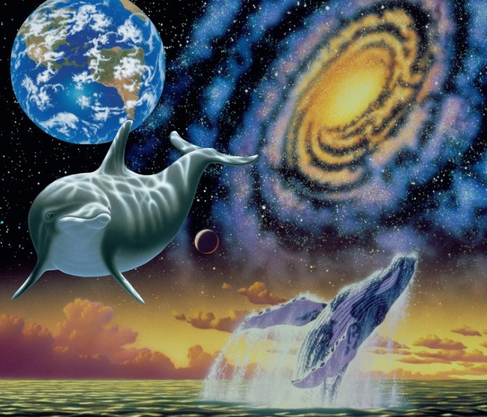 Puzzle - Grafika - Ocean spațial