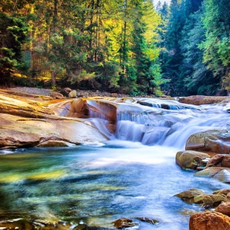 Cascadă în pădure