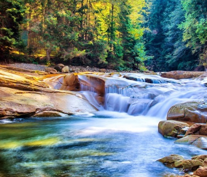 Puzzle - Grafika - Cascadă în pădure