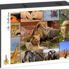 Puzzle - Grafika - Animale din Africa