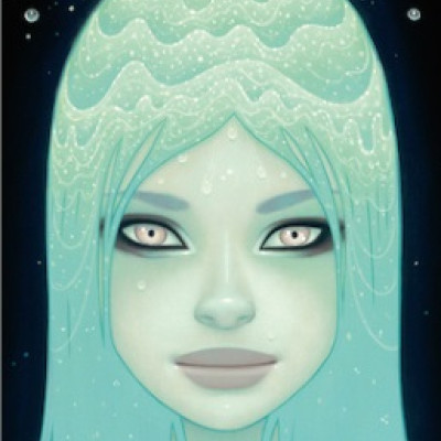 Cascadă de cristal - Puzzle panoramic