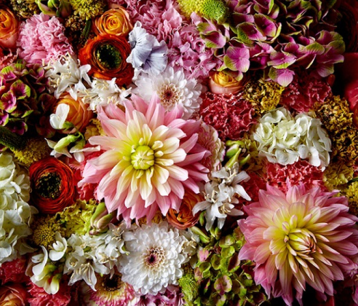 Puzzle - Heye - Dalie pufoasă