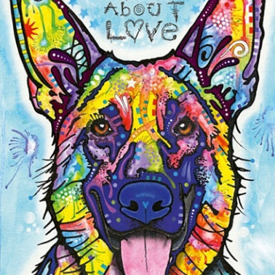 Câinele nu minte niciodată