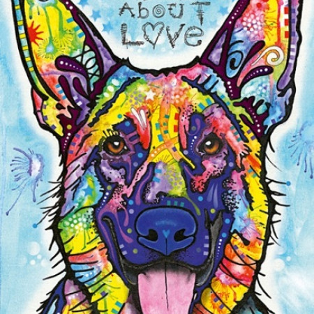 Câinele nu minte niciodată