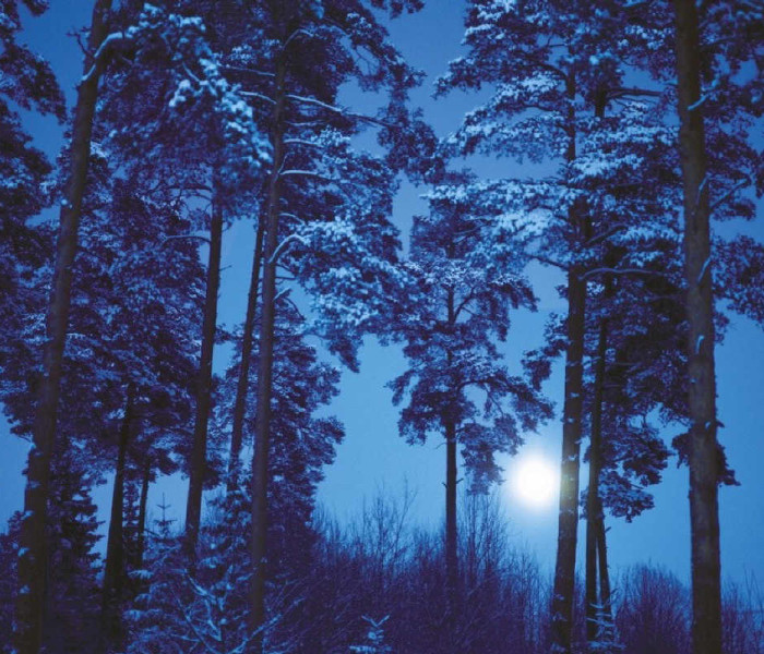 Puzzle - Heye - Lună plină