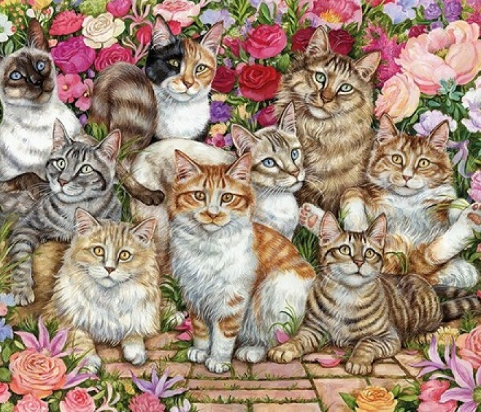 Puzzle - Falcon - Pisici printre flori