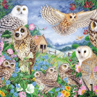 Puzzle - Falcon - Bufnițe