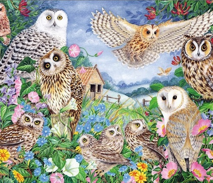 Puzzle - Falcon - Bufnițe