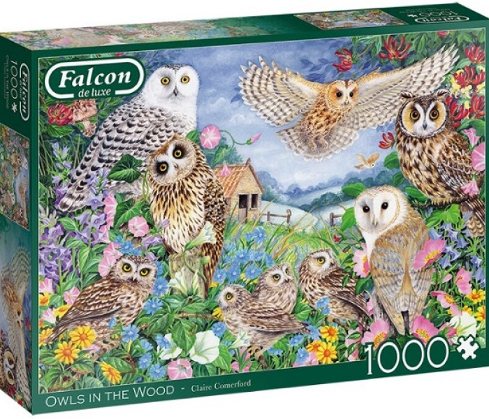 Puzzle - Falcon - Bufnițe