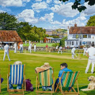 Puzzle - Falcon - Sporturi pe gazon