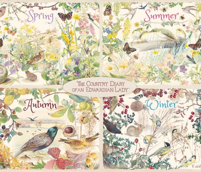 Puzzle - Falcon - Cele patru anotimpuri la țară