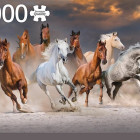 Puzzle - Jumbo - Cai în deșert