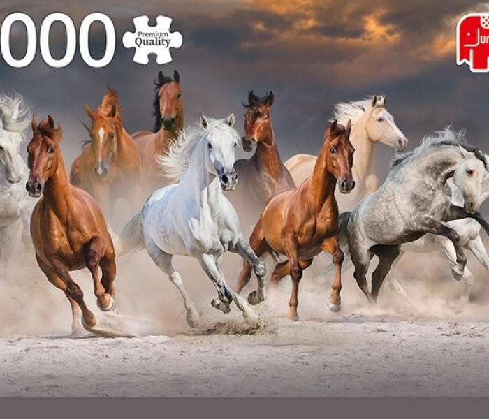 Puzzle - Jumbo - Cai în deșert