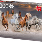 Puzzle - Jumbo - Cai în deșert