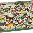 Puzzle - Jumbo - Afiș - fluturi