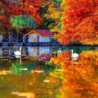 Puzzle - King - Căsuță mică lângă lac