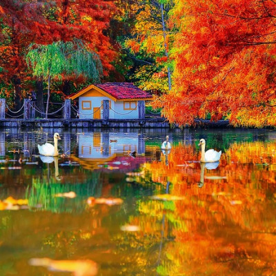 Căsuță mică lângă lac