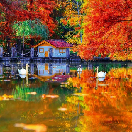 Căsuță mică lângă lac