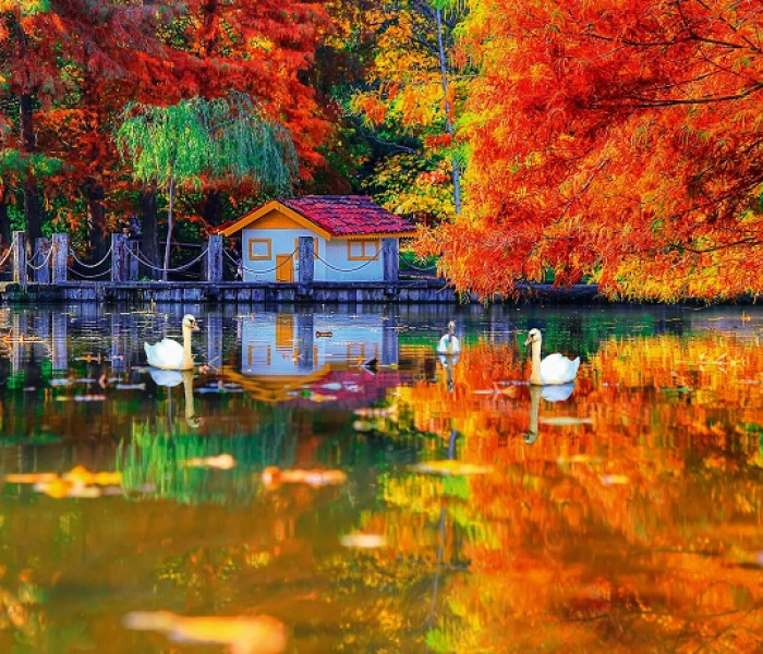 Puzzle - King - Căsuță mică lângă lac