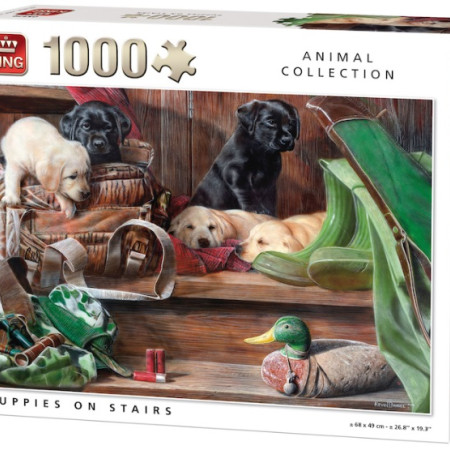 Cățeluși pe scări