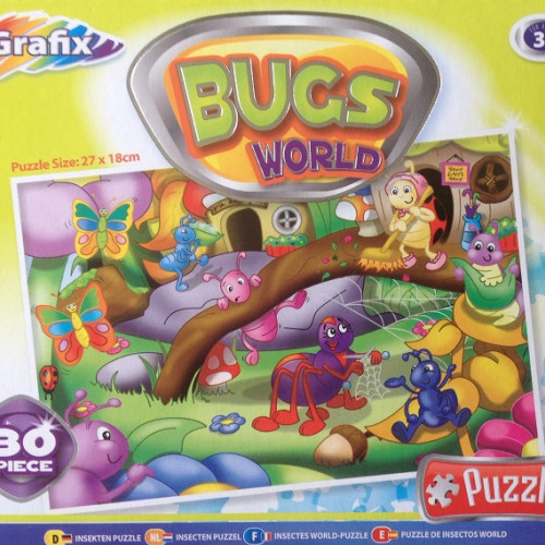 Lumea insectelor