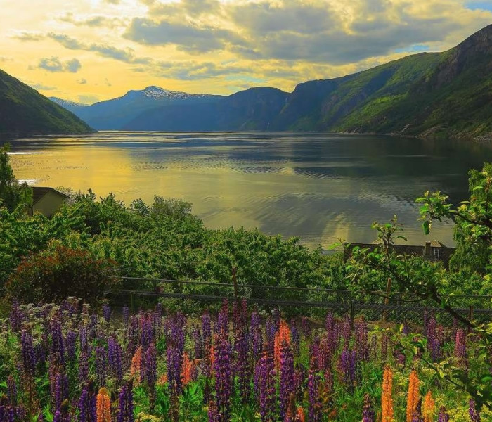 Puzzle - Ravensburger - Fjord în Norvegia