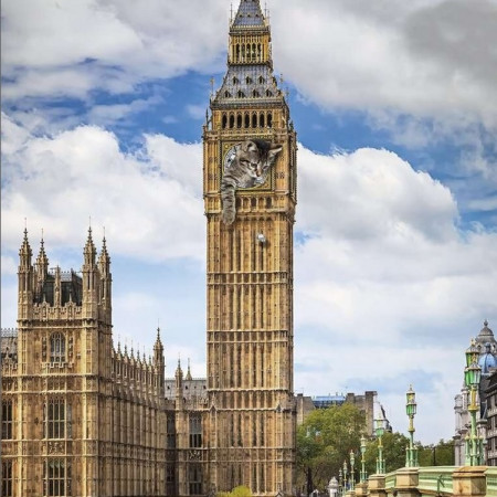 Pisică pe Big Ben