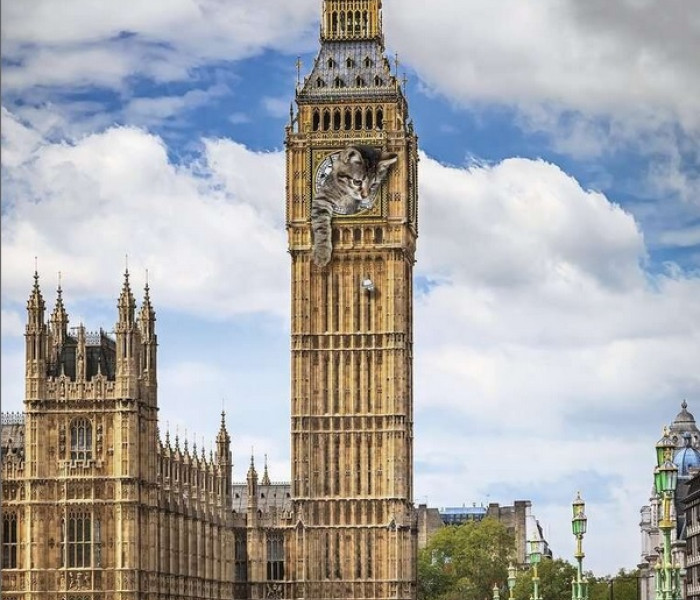 Puzzle - Ravensburger - Pisică pe Big Ben