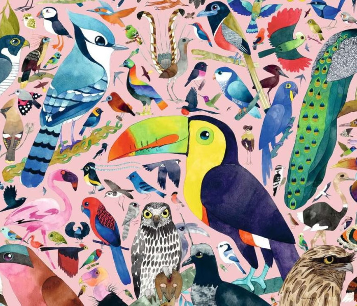 Puzzle - Ravensburger - Păsări uimitoare