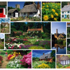 Puzzle - Schmidt - Mergem în vacanță - Anglia