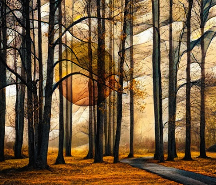 Puzzle - Schmidt - Pădure magică