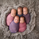 Puzzle - Schmidt - Cinci în ghem