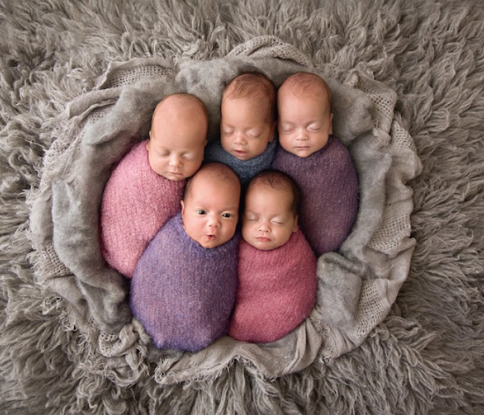 Puzzle - Schmidt - Cinci în ghem