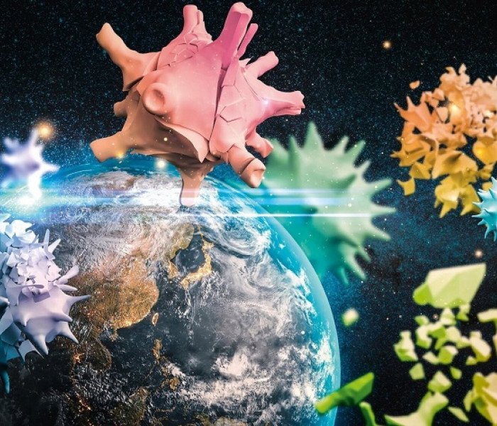 Puzzle - Schmidt - Planeta Pământ 2020