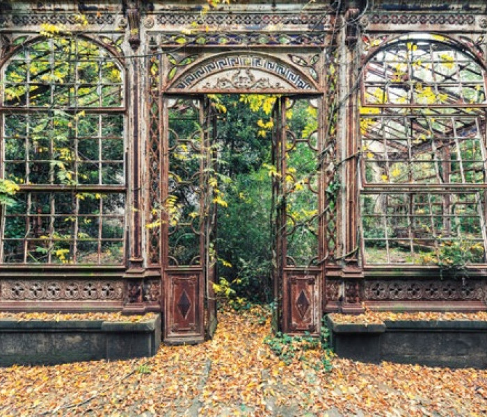 Puzzle - Schmidt - Intrare în seră