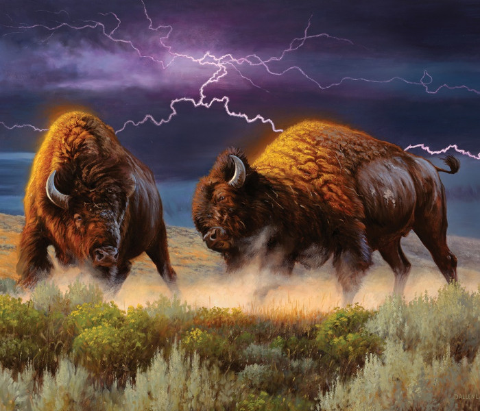 Puzzle - Sunsout - Bizonii