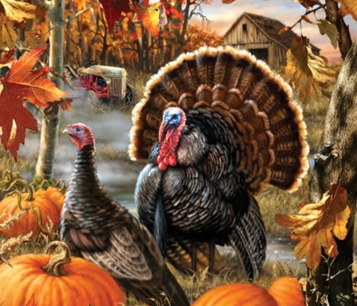 Puzzle - Sunsout - Curcani toamna