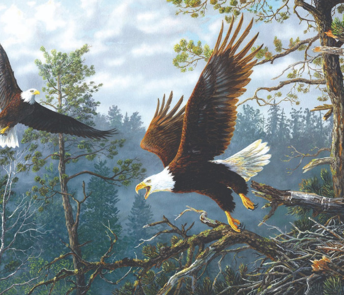 Puzzle - Sunsout - Cuib de vultur